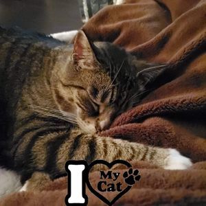 Meet your Posher, Candice